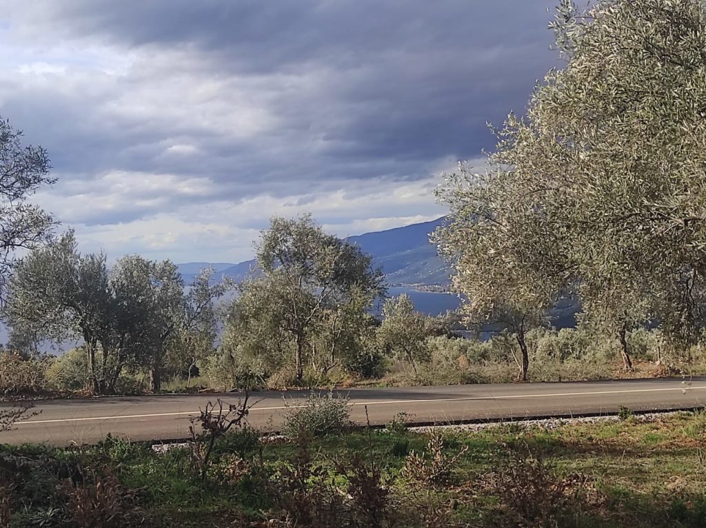 Buildable plot 4223 sqm in Lefokastro Pelion GSHome